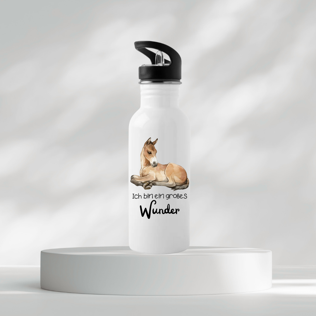 Thermoflasche - Ich bin ein großes Wunder